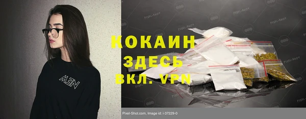 хмурый Корсаков