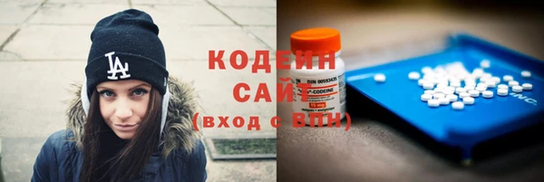 apvp Козельск