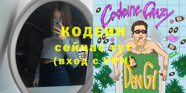 хмурый Корсаков