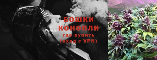 молекула духа Коряжма