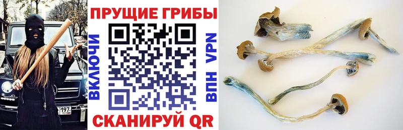 Псилоцибиновые грибы Magic Shrooms  Учалы 